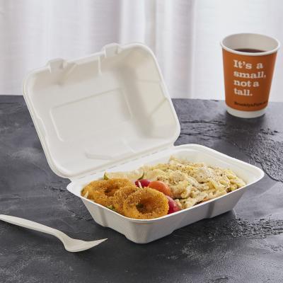 China Disposable Eco Sugar Cane Bagasse Pulp Box Disposable Lunch Box Biodegradable 9*6 Inch Container for sale