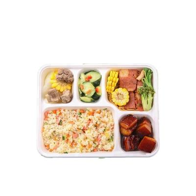 China 5 Compartment Disposable Biodegradable Sugarcane Bagasse Pulp Mold Food Lunch Serving Tray With Lid for sale