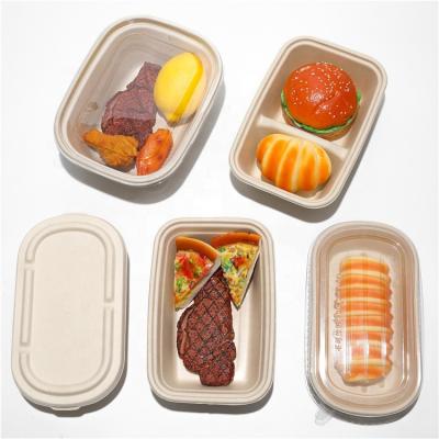 China CompostableTakeaway Biodegradable Disposable Biodegradable Sugarcane Pulp Mold Packing Bagasse Tray With Lid for sale