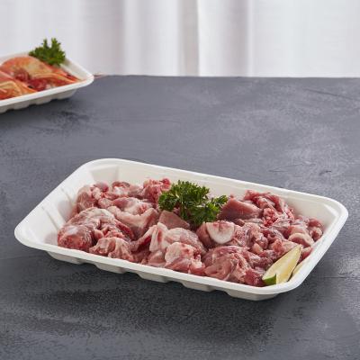 China Biodegradable Biodegradable Pulp Mold Fruit Meat Sushi Vegetable Food Serving Sugarcane Bagasse Tray for sale