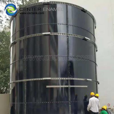 China Factory organic waste treatment to energy equipment, waste water digester tank for biogas project for sale