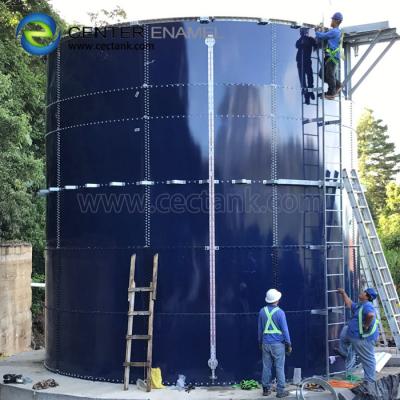 China Plant biogas fermentation tank for power plant for sale