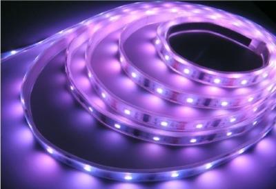 China 50000 Hours 24V Flexible LED Strip Light , Waterproof SMD 5050 LED Chip for sale