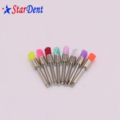 China Colorful Prophy Dental Area Brush Latch Shaped Flat Head Dental Polishing Brush for sale