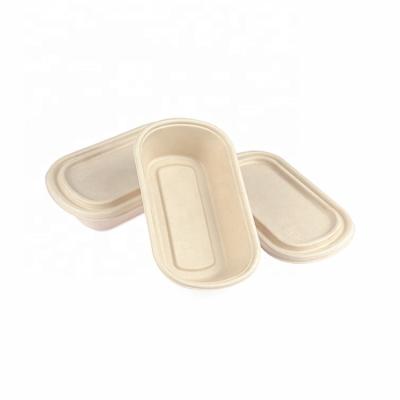 China Hot selling high quality biodegradable takeout box sugar cane wholesale biodegradable food packaging for sale