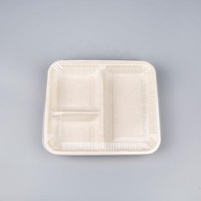 China Recyclable Eco Friendly Plastic Catering Food Packaging Restaurant Fast Food Food Packaging Boxes Supplies for sale