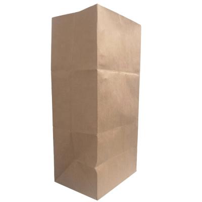 China 2021 Recyclable Kraft Paper Brown Biodegradable Paper Bag Lawn Trash Leaf Vegetable Trash Bag for sale