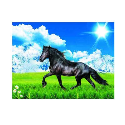 China 3d horse 3d new design lenticular poster for sale