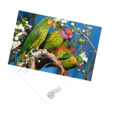 China Good Sale Europe Gift Souvenir Hologram 3D Lenticular Printing Postcards for sale