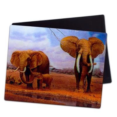 China Animal 3d magnet lenticular magnet for promotion for sale