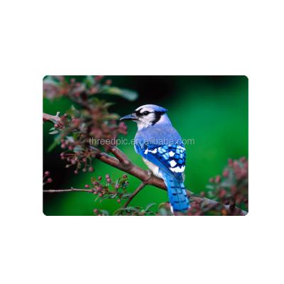 China Sustainable Sustainable Custom Clear Plastic Table Mat , 3D Lenticular Place Mat , Disposable PP Place Mats for sale