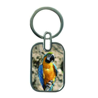 China 3D Cute Parots and Birds Sell 3D Hot Selling Key Chain 3D or Lenticular Key Wholesale Chain for sale