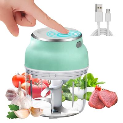 China TOWDIY Small Stocked Vegetable Mini Food Chopper Meat Processor with USB Charging Jack for sale