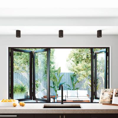 China High Quality PVC Kitchen Screen Folding Windows Price Doors And Cheap Folding Windows Factory for sale