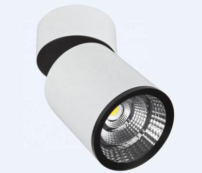 China ip65 led lights ceiling spot light led products wholesale for led furniture for sale