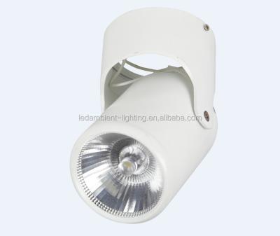 China Surface Mounted Cob Down Light LED Retrofit Rotary Light For Ceiling Decoration for sale