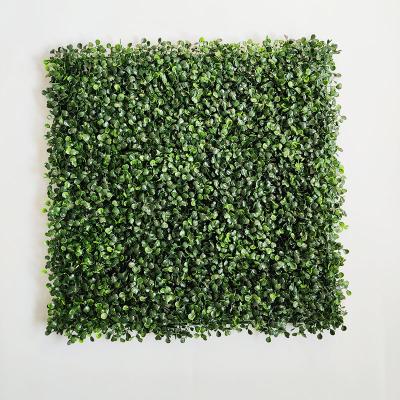 China 50*50cm High Quality Waterproof UV Resistance Plant Wall Boxwood Green Artificial Hedge For Green Exterior Wall AP21018 for sale