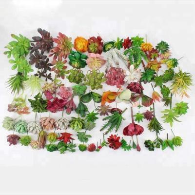 China Mini Green Indoor Succulent Artificial Waterproof Desert Plants for sale