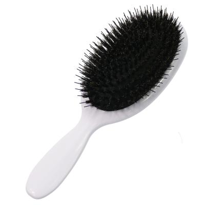 China Custom Cushion Logo Nature Boar With Flexible Bristle Design Large Oval Air Cushion Extension Hair Brush For Women for sale