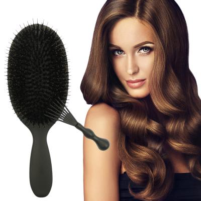 China Factory Price Compact Logo Oval Shape Nylon Mixed Boar Hair Extension Wig Palette Private Hair Brush for sale