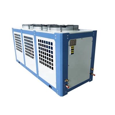 China Cold Storage Room Freezer Room Split Air Conditioner Mushroom Climate Control Machine For Wooden Mushrooms for sale