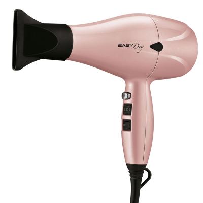 China Professional Ionic Dual Voltage Drinking Hair Dryer Blow Dryer for sale