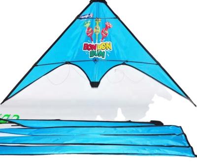 China Custom Line Waterfall Entertainment Amazon Amazon Logo Outdoor Sport Kite for sale