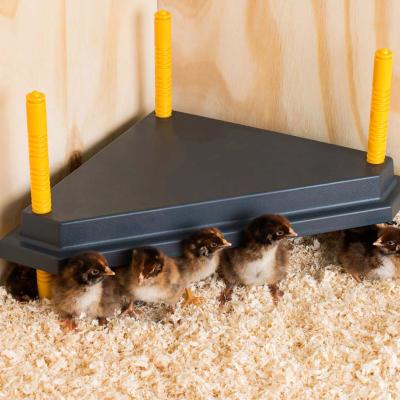 China Easy Heating To Customizate Brooder Chicks Heating Plate Triangular Pattern For Chicks Shape DCT3030/DCT4040 for sale