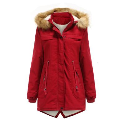 China Sustainable Women's Cotton Thicken Parka Winter Jacket Padded Removable Fur Hood Coat for sale