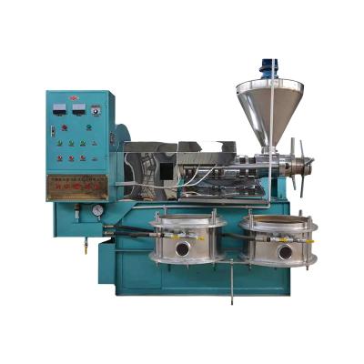 China Hot Selling Automatic High Yield Efficiency Oil Flower Tea Seed And Tea Seeds Oil Press for sale