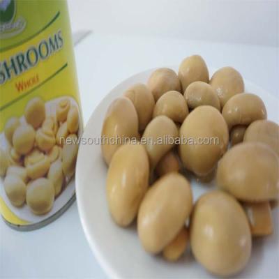 China Best Canned Whole Mushroom Canned 425g for sale