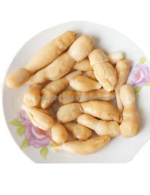 China New canned culture canned drumstick mushroom enoki mushroom 425G for sale