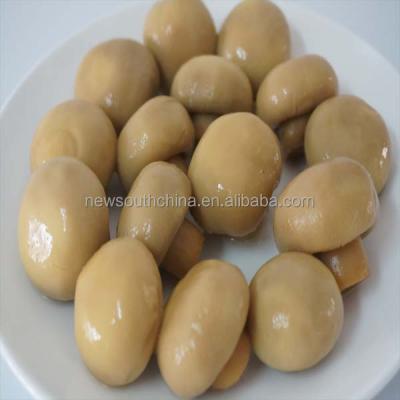 China Hot Selling Best Quality Canned Mushroom for sale