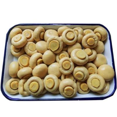 China Canned Whole Canned Mushroom Brands for sale