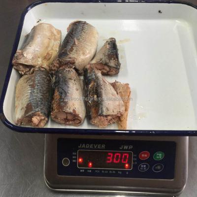 China Chinese Canned Mackerel Fish 425g for sale