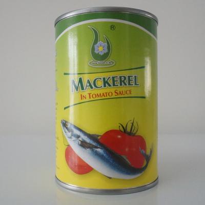 China Canned Brands Canned Mackerel in Tomato Sauce 155G for sale