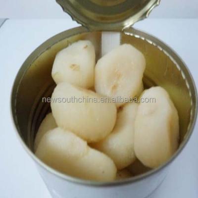 China canned water chestnuts canned water chestnuts 567G for sale