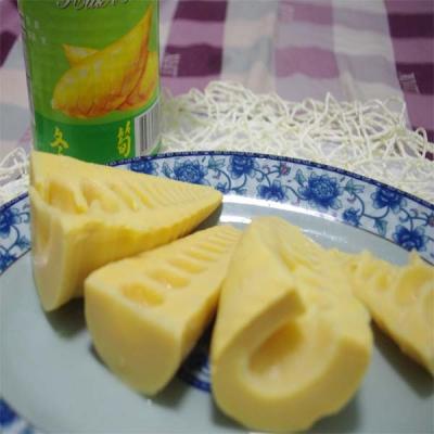 China tin box canned bamboo shoot dried bamboo shoot 552g for sale