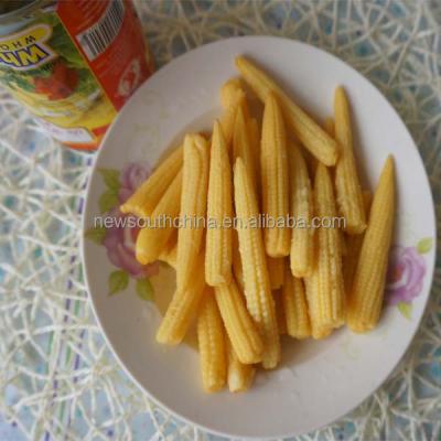 China Canned Canned Food Canned Baby Corn In New Products for sale