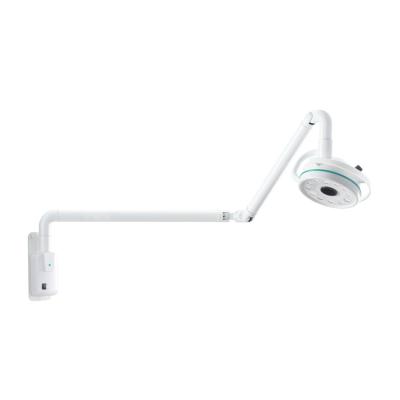 China Clinic 36W Wall Mounted General Gynecological Ophthalmology LED Cosmetic Dental Table Examination Medical Use General Clinic and Pet Led Light for sale