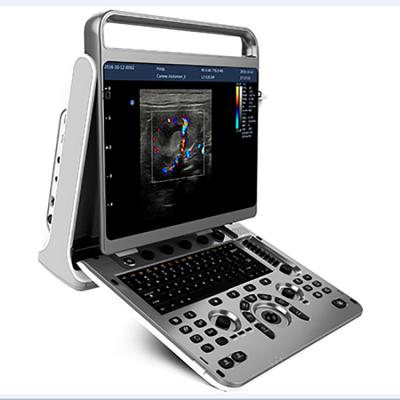 China Obstetrics And Gynecology Trolley Ultrasound Machine Price New EBit 30 Portable Ultrasound Scanner for sale