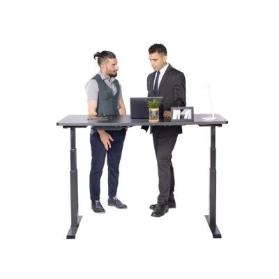 China Eisdir DM3SD Double Motor Eisdir DM3SD Modern Office Furniture Desk Legs Height Adjustable Electric Standing Desk for sale