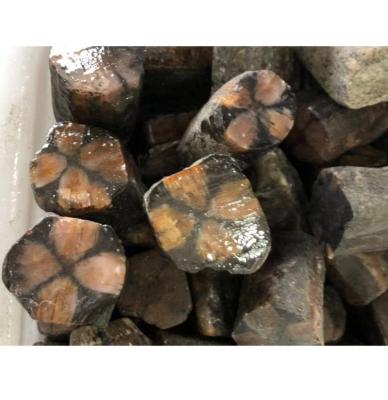 China Other Natural Gemstone Chiastolite Nugget Rough Tumbled Beads for sale