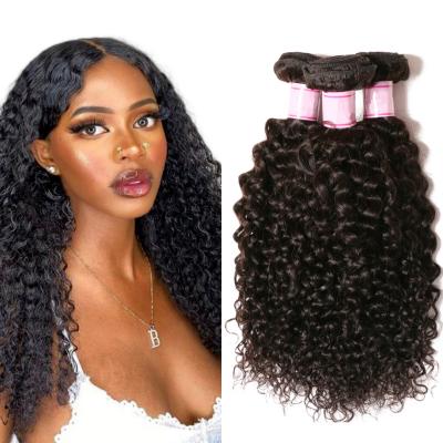 China Water Wave Cuticle Aligned Double Drawn Weft Kinky Curly Brazilian Hair Bundles Natural Color, Bundle Hair Vendor for sale