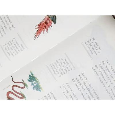 China paper & 2022 Newest Design Hardcover Paperboard Custom Printing Coloring Book Softcover Printing Printing for sale