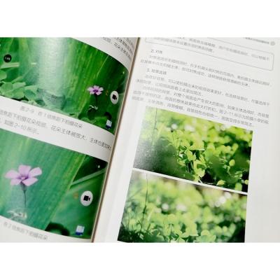 China paper & Cardboard 2022 hardcover design softcover book bestselling coloring custom printing printings for sale