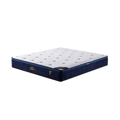 China HomeUse Luxury Pocket Coil Latex Spring Memory Foam Luxury Mattress for sale