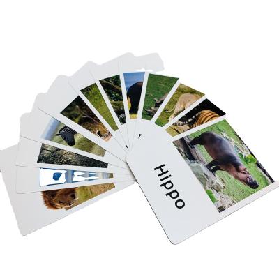 China OEM Printing Services Game Learning Cards Cognitive Cards Teaching Cards for sale