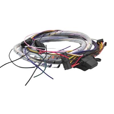 China Wholesale IATF16949 Motorcycle Factory Fitted Cable Connector e Bike Wire Auto Female Wiring Harness for sale