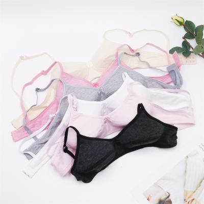 China Dropshipping QUICK DRY girls shape simple solid color push up wireless comfort women T-shirt bra seamless bra for sale